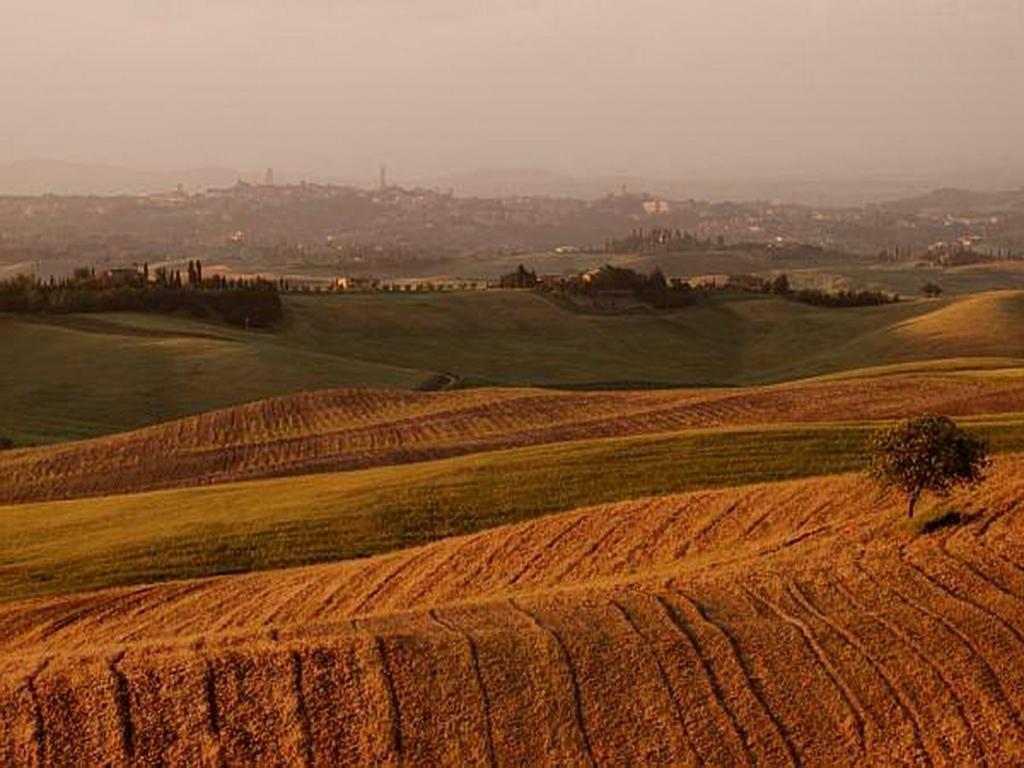Castello Di Grotti Pensionat Corsano  Exteriör bild