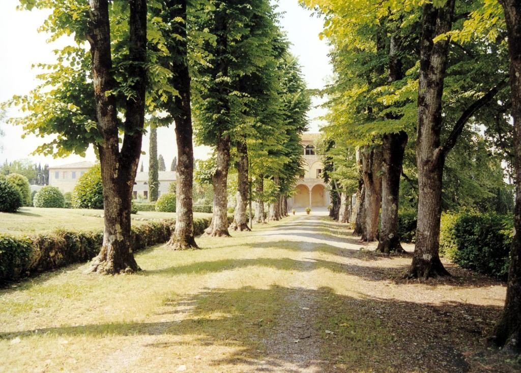 Castello Di Grotti Pensionat Corsano  Rum bild